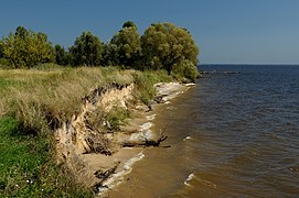 Узбережжя Київського моря у села Ясногородка.JPG