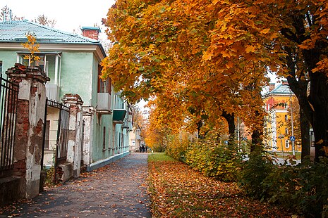 Улицы города глазова. Город Глазов улица Советская. Глазов старый район. Глазов пейзаж. Город Глазов старый район осенью.