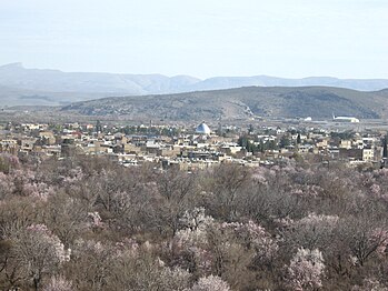 باغات ارسنجان