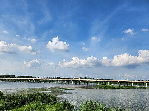 由河口向東望 S26 泰萊高速橋