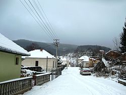 Зима во Власинском риде.