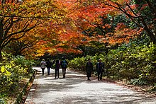 神戸市立森林植物園の紅葉