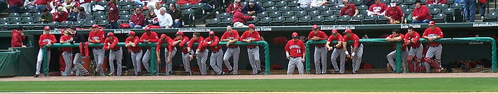 2010 Georgia Bulldogs Baseball team