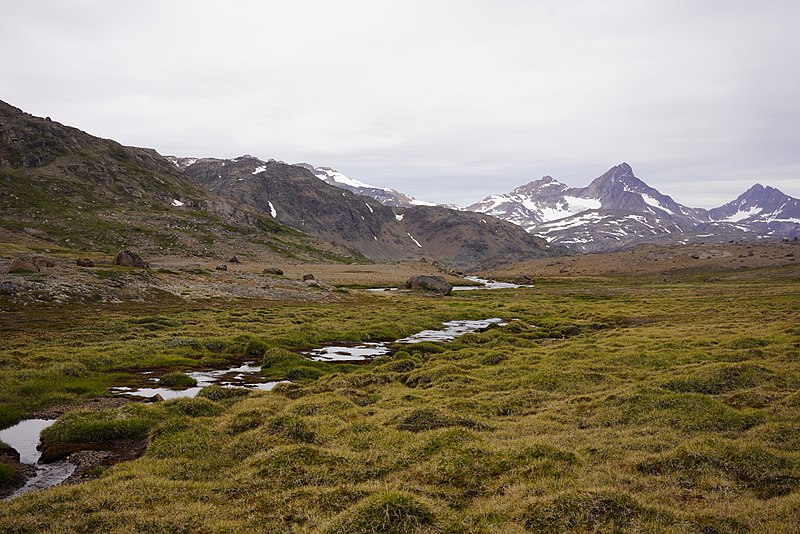 File:20190629 Praestefjeld-R 3751 (48501665252).jpg