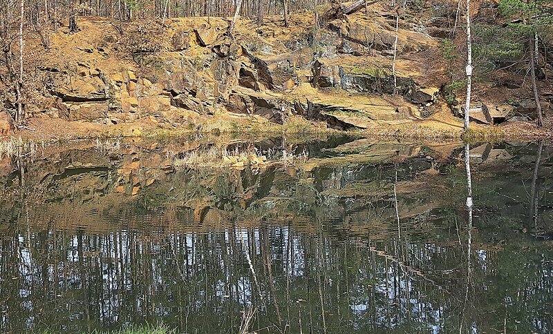 File:20230319.Friedewald.Seerosenteich.-017.jpg