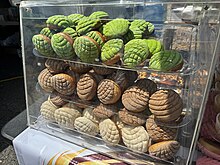 A plastic display case showing various conchas.