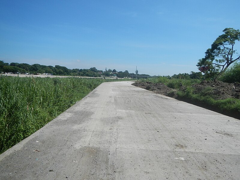 File:2059Bustos Baliuag rivers, grasslandsduring New Normal General ...