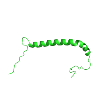 FXYD2 protein-coding gene in the species Homo sapiens