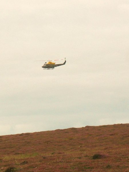 File:A Griffin over The Range - geograph.org.uk - 1445109.jpg