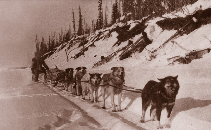 File:A NWMP patrol in winter. Athabasca Archives Thorne Collection, 00104.png