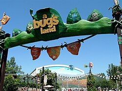 A bug's land.JPG