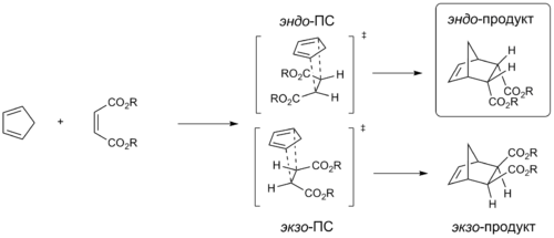 Endo Alder-regel