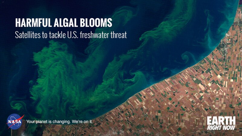 File:Algal Blooms (16461448413).jpg