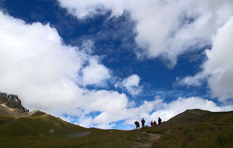 File:Alpes 2017-07-27 (36713849404).jpg