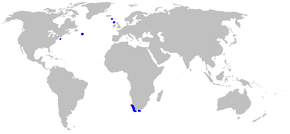 Beschrijving van de Apristurus microps distmap.png afbeelding.