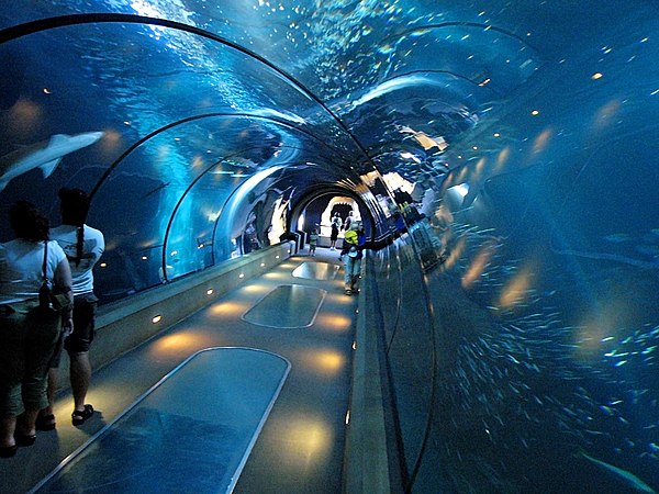 The acrylic tunnel Open Sea, part of the Passages of the Deep exhibit.