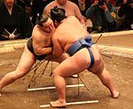 Sumo