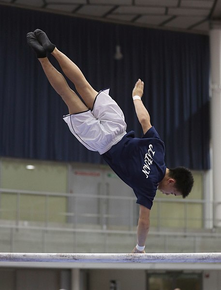 File:Austrian Future Cup 2018-11-23 Training Afternoon Parallel bars (Martin Rulsch) 0157.jpg