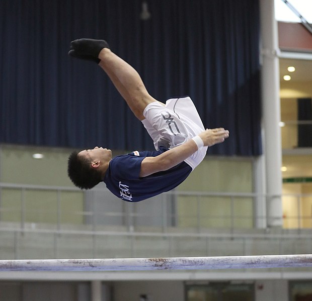 File:Austrian Future Cup 2018-11-23 Training Afternoon Parallel bars (Martin Rulsch) 0168.jpg