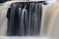 * Nomination Aysgarth Falls. Mattbuck 10:46, 1 December 2013 (UTC) * Decline Out of focus IMHO --Kreuzschnabel 11:10, 1 December 2013 (UTC)