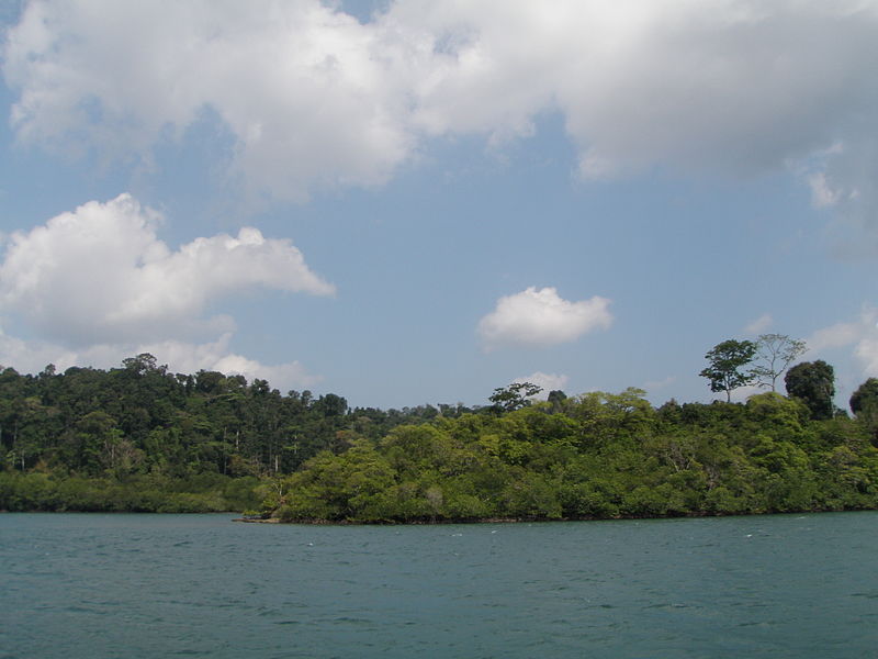 File:Baratang Andaman 4170039.JPG