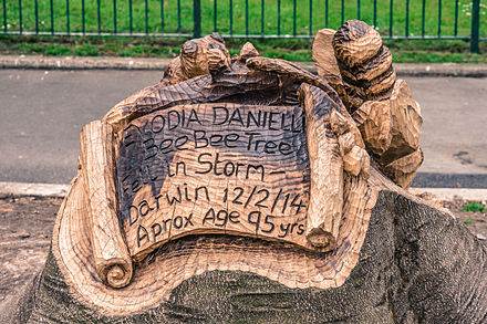 Some of the oldest and rarest trees knocked over in Limerick's People's Park by Storm Darwin have been given a new lease of life by being transformed into works of art.