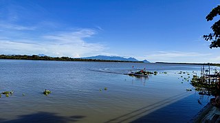 <span class="mw-page-title-main">Bicol River</span> River in Bicol Region, Philippines