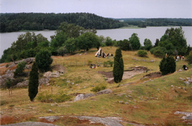 Birka et Hovgården (1993).