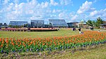 File:Blume Messe Akita 20210425d.jpg (Category:Tulip gardens in Japan)