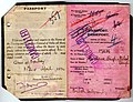British Indian Passport. i. Mewa Singh son of Nihal Singh Mankoo of Lahore.1924.jpg