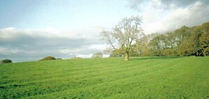 Rig and furrow marks at Buchans Field, Wester Kittochside, an area of Scottish common land Buchansrigs.jpg