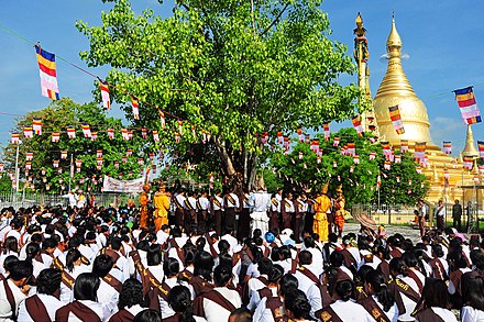 Buddhist devotees converge on a Bodhi tree in preparation for watering, a traditional activity during the Full Moon Day of Kason.