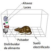 Resultado de imagen de condicionamiento operante