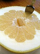 This white grapefruit is cushioned with a thick mesocarp layer