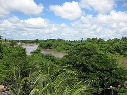 Фотография реки Чандже, Гайана 