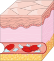 Coagulation 7