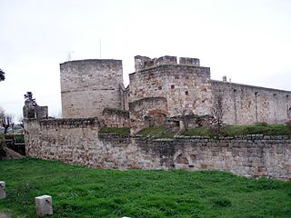 <span class="mw-page-title-main">Day of Zamora</span> Battle during Spanish Reconquista