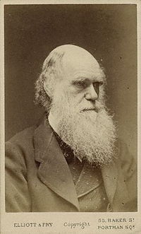 Charles Darwin photograph by Elliott and Fry, 1874.jpg