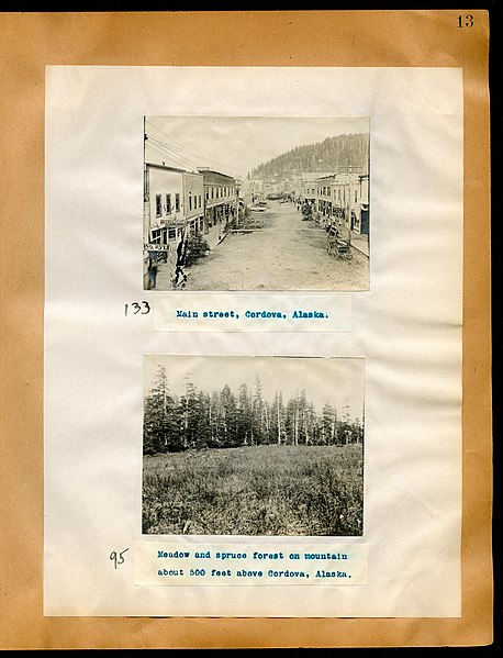 File:Chase album, 1898, 1903, and undated (Page 13) BHL46399503.jpg