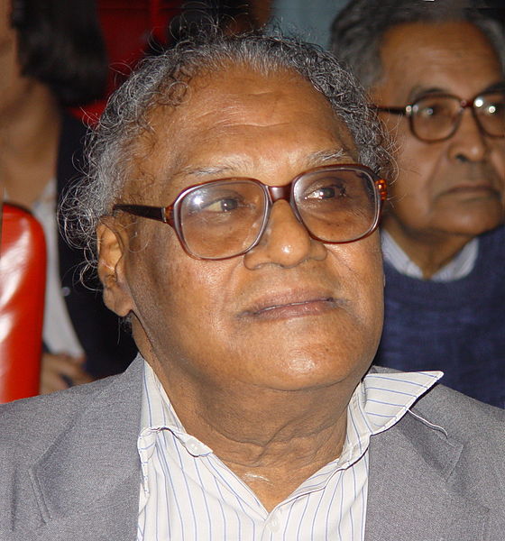 File:Chintamani Nagesa Ramachandra Rao 03650.JPG