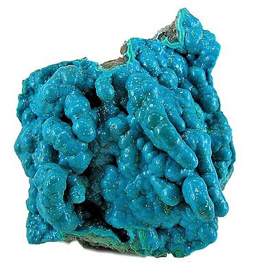 Chrysocolle-66635.jpg