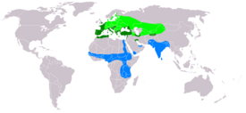 Rørhøgens udbredelse: Grøn: Yngleområde. Blå: Overvintringsområde.