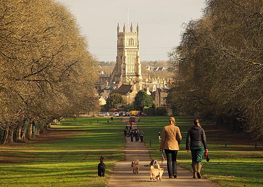 Cirencester Park (geograph 5686765)