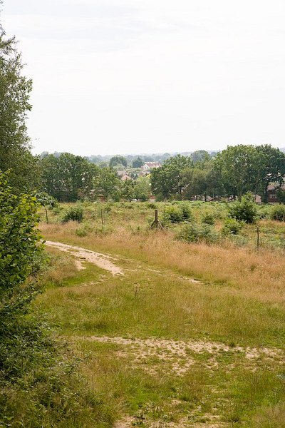 File:Clearing on southern edge of Stoke Park Wood - geograph.org.uk - 895174.jpg