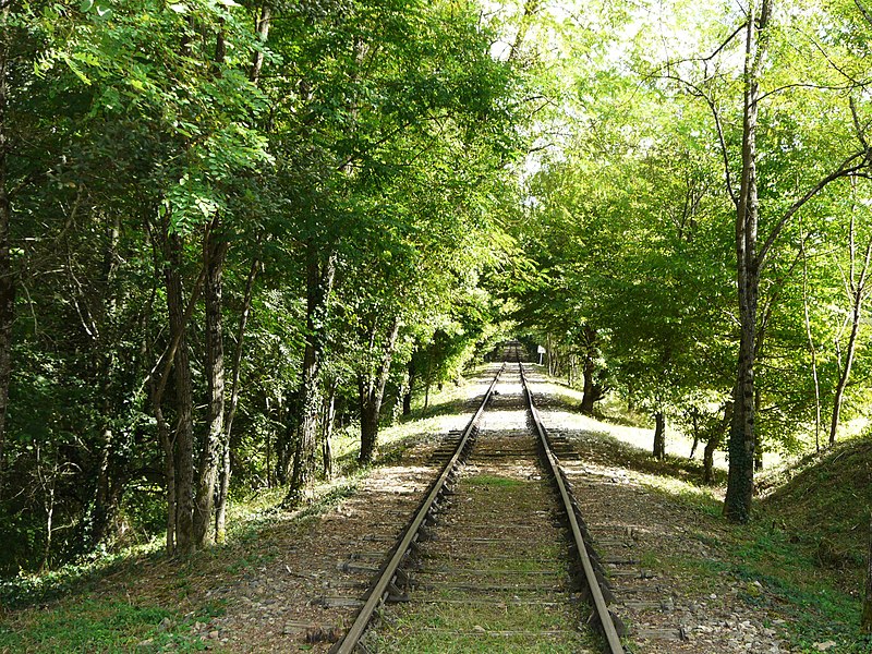 File:Corgnac-sur-l'Isle vélo-rail.JPG