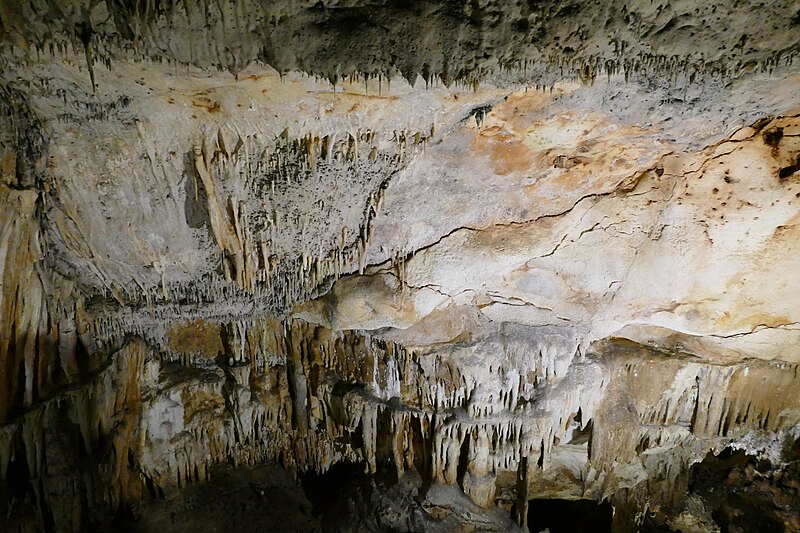 File:Covas del Drac - lit stalagmites and stalagtites 17.jpg