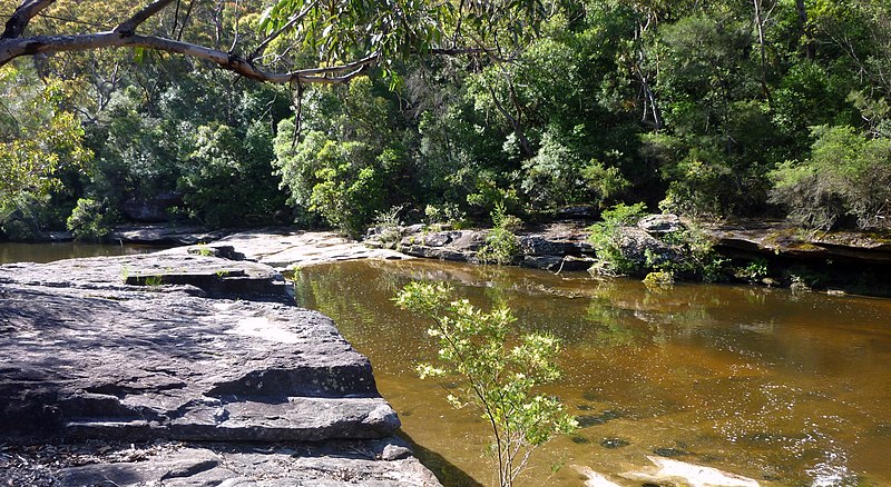 File:Creek in Garigal National Park.jpg