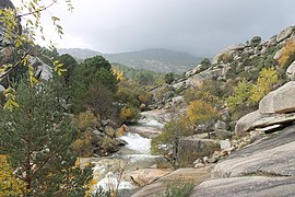 Manzanares river in La Pedriza