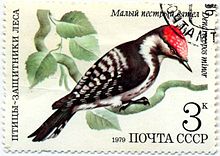Изображение малого пестрого дятла на почтовой марке