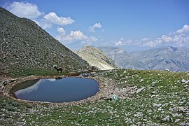 Juni: Maultiere an einem Tauteich im Lunxhëria-Gebirge